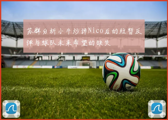 苏群分析小牛炒掉Nico后的短暂反弹与球队未来希望的缺失