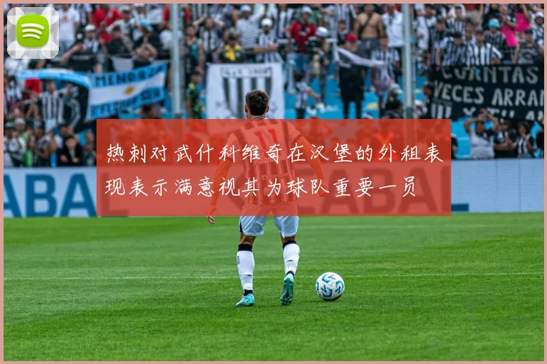 热刺对武什科维奇在汉堡的外租表现表示满意视其为球队重要一员