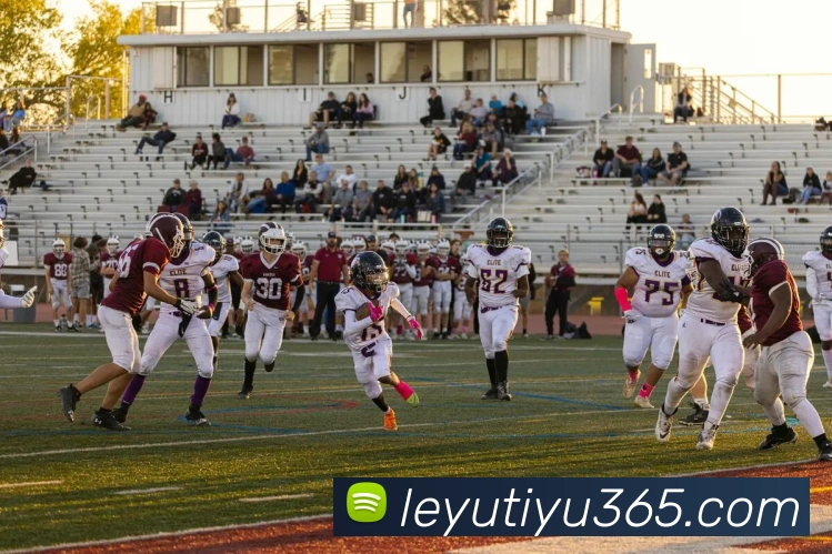 乐鱼体育平台生态图