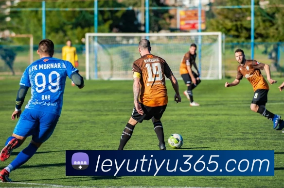 乐鱼体育APP 封面图